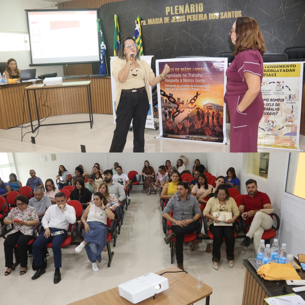 Assistência Social de Monsenhor Gil participa de treinamento da Rede de Enfrentamento ao Trabalho Escravo - Imagem 1