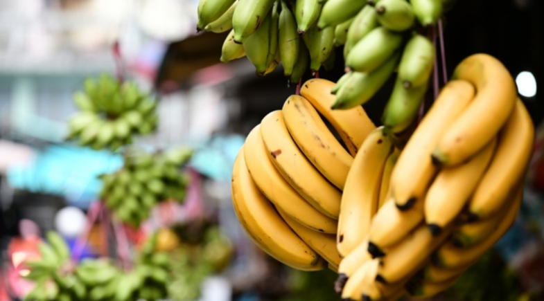 O truque da banana suspensa funciona mesmo? Veja como fazer a fruta durar mais tempo