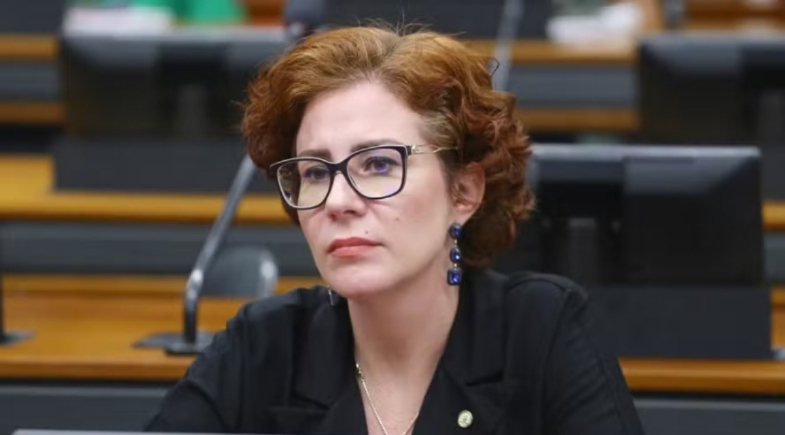 Ex-deputada federal Carla Zambelli (PL)  | Reprodução/Vinicius Loures / Câmara dos Deputados