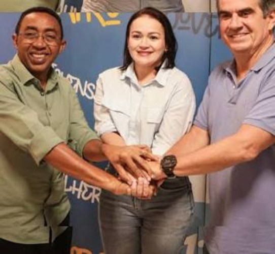 Veja em detalhes quem são os pré-candidatos a federal do União Progressista no Piauí  - imagem 147643