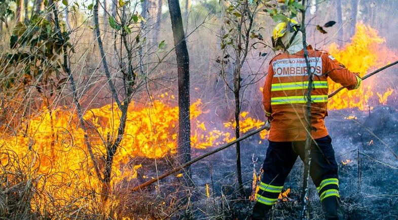 Lagoa do Piauí inicia treinamento de brigadistas florestais com participação de municípios da região