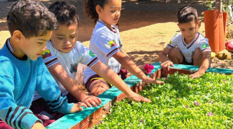  Hortas escolares fortalecem educação ambiental e alimentação saudável em São Raimundo Nonato