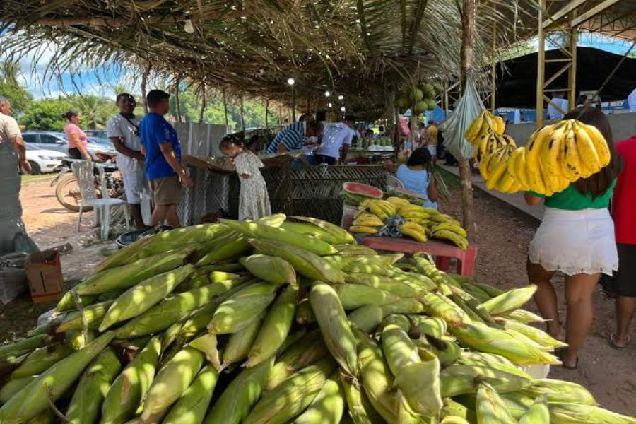 Agricultores de União podem fornecer para escolas - Divulgação/ASCOM