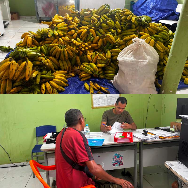 Agricultores de União podem fornecer para escolas - Divulgação/ASCOMAgricultores de União podem fornecer para escolas - Divulgação/ASCOM