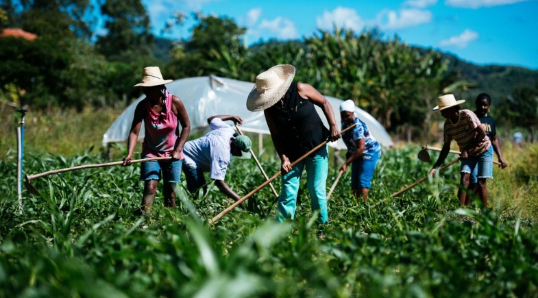 Agricultores de Tamboril já podem se cadastrar no Garantia-Safra 2026/2027; saiba como