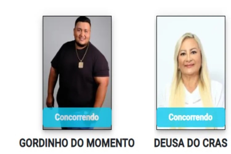 Eleições 2026: os banners de candidatos que você precisa olhar duas vezes - imagem 149500