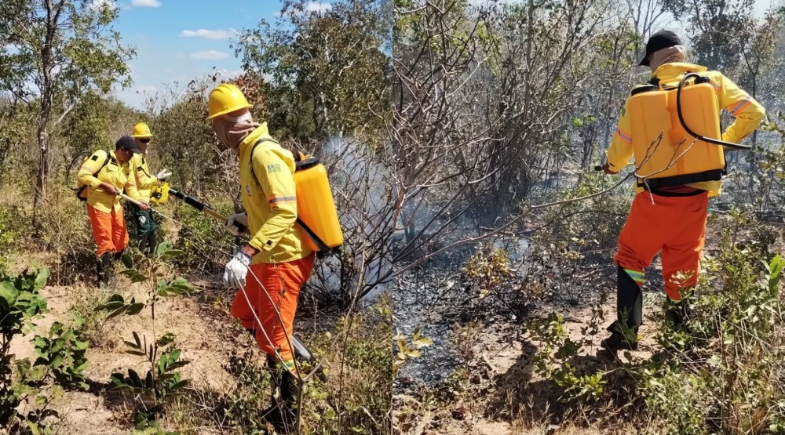Brigada Municipal atua no combate a queimada em São Gonçalo do Gurguéia