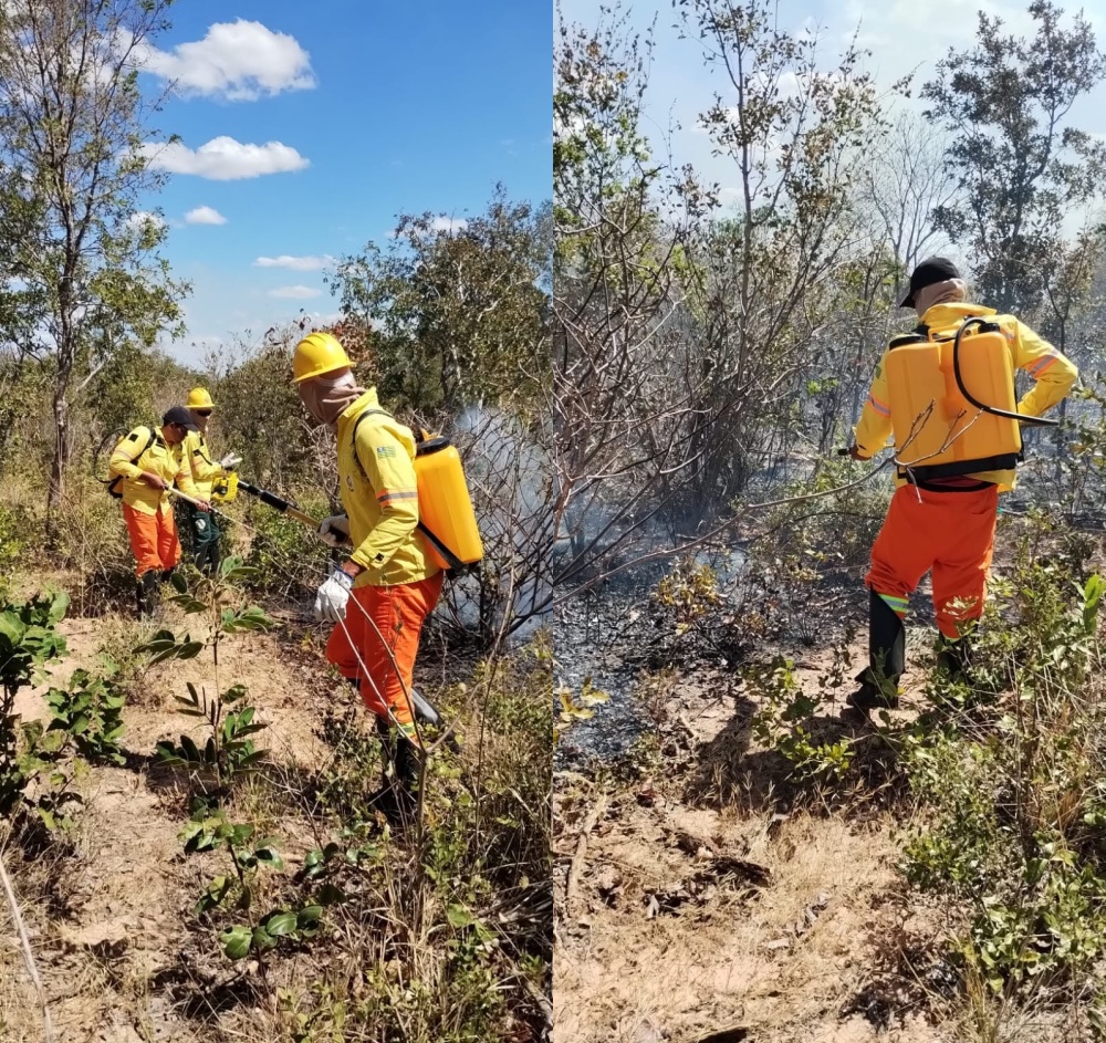 Brigada Municipal atua no combate a queimada em São Gonçalo do Gurguéia | Divulgação/Prefeitura de São Gonçalo do Gurguéia