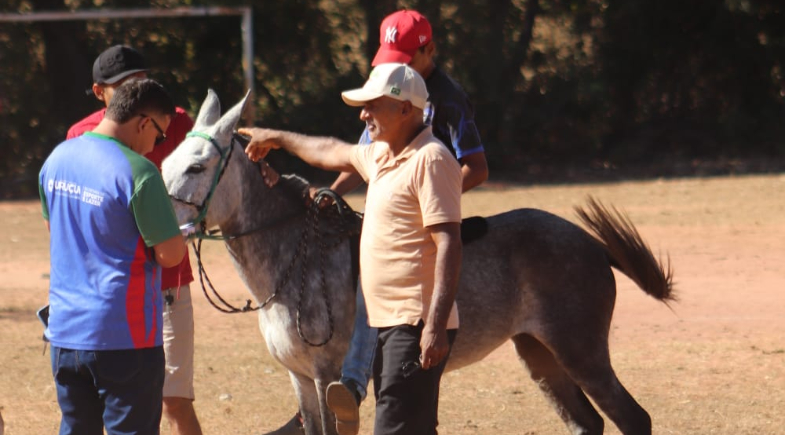Passarinho conquista 1º lugar em corrida de jumento e fatura R$ 100; veja fotos