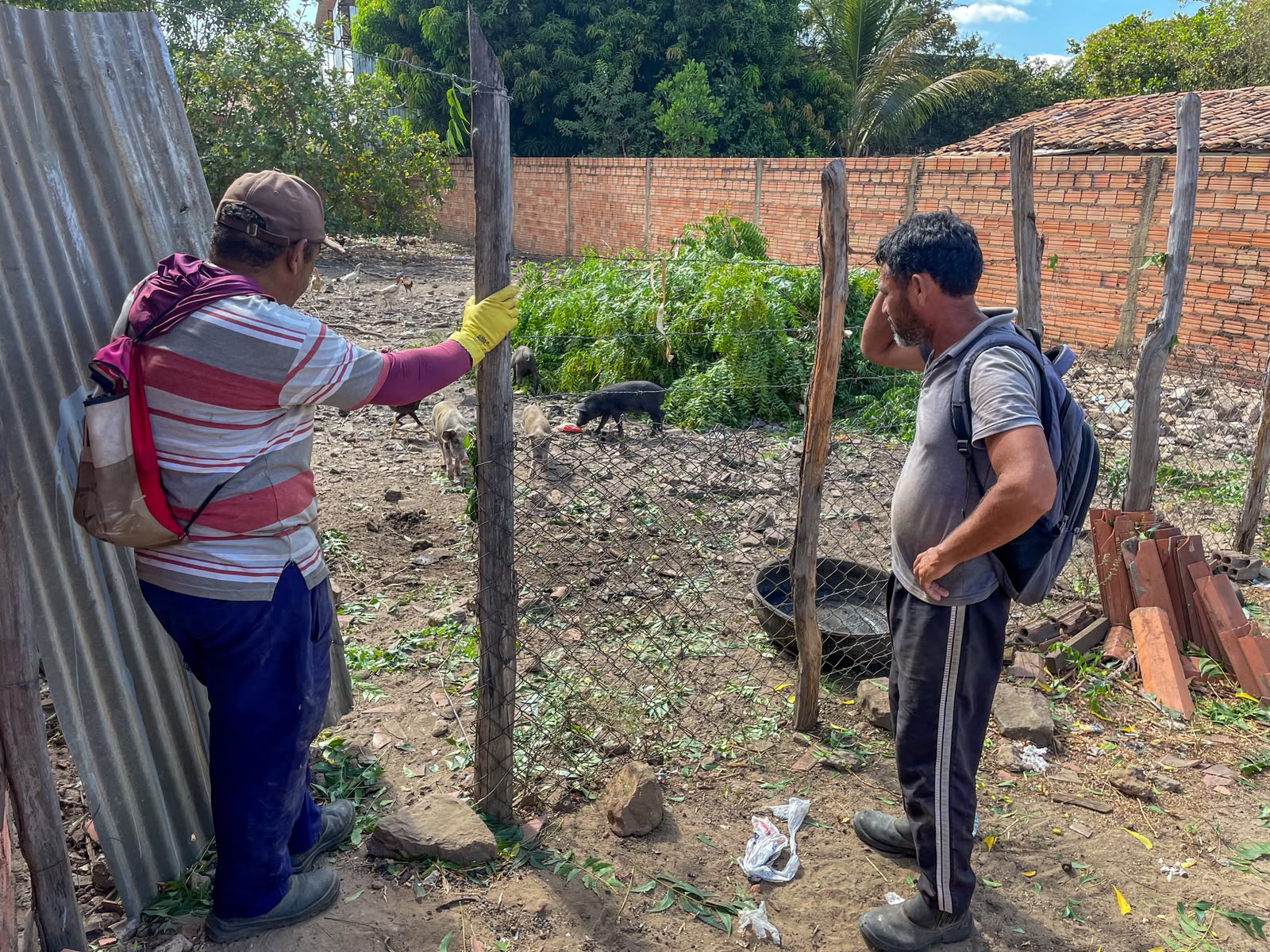 Operação Quintal Limpo - Divulgação/ASCOMOperação Quintal Limpo - Divulgação/ASCOM