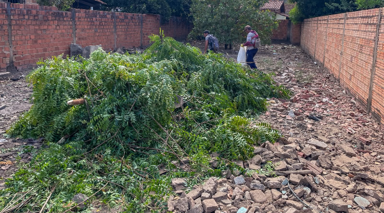 Operação Quintal Limpo reforça ações de limpeza urbana e combate à dengue em Piripiri