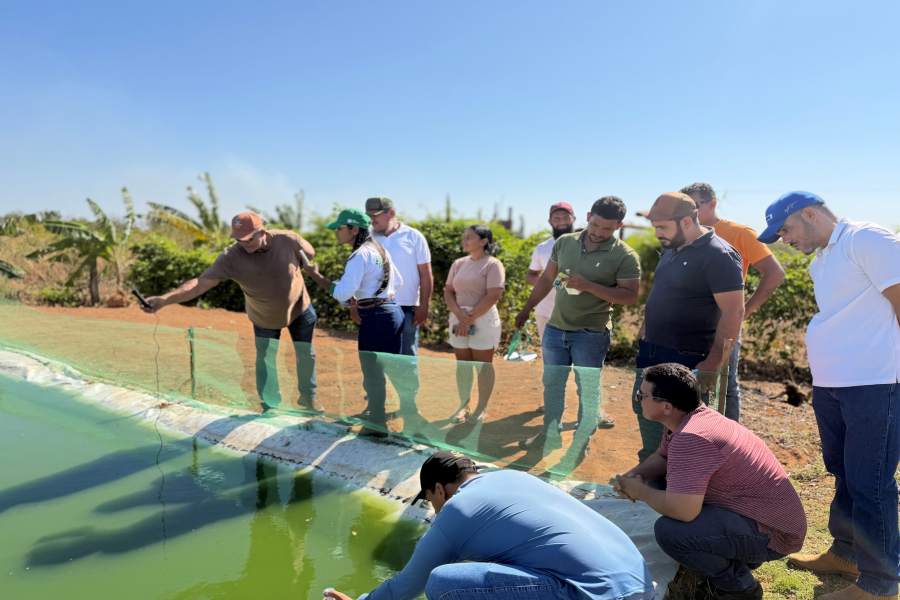 Curso de boas práticas de manejo na psicultura - Divulgação/ASCOMCurso de boas práticas de manejo na psicultura - Divulgação/ASCOM