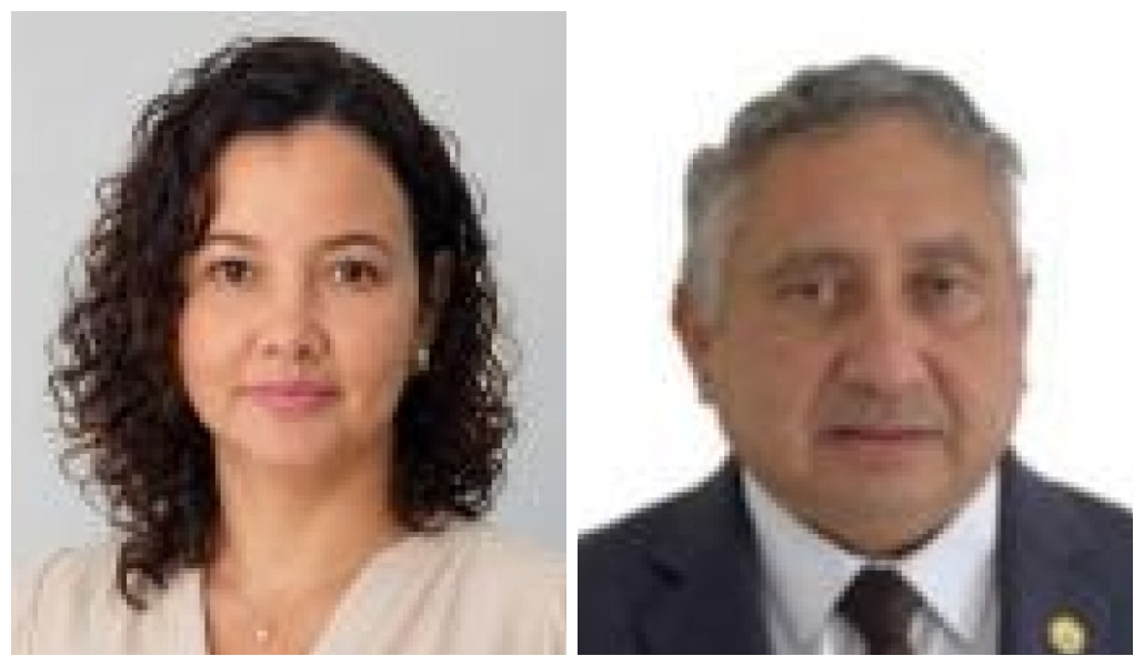 Sabe quem são? Conheça os suplentes de Ciro, Marcelo, Júlio e outros candidatos - imagem 150976