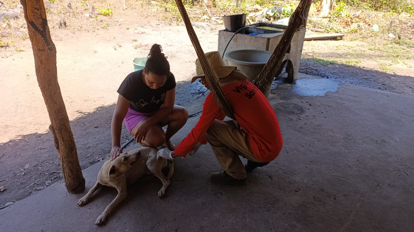 São João do Arraial amplia proteção de cães e gatos com campanha de vacinação antirrábica | Divulgação/Prefeitura de São João do Arraial
