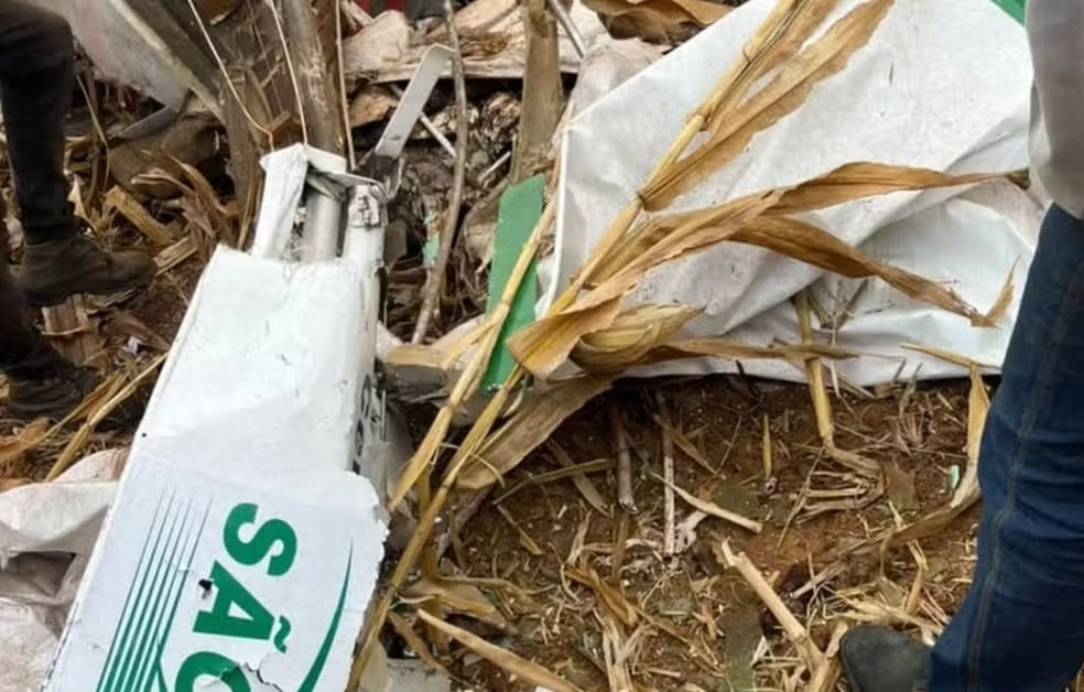 Monomotor cai em área de canavial em Sergipe — Foto: Redes Sociais