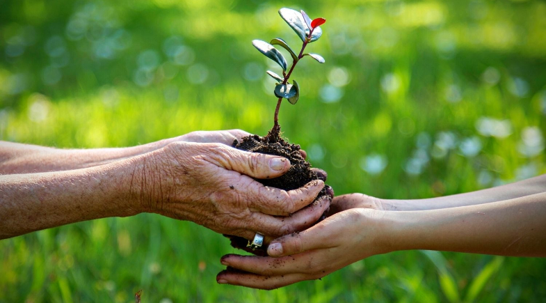 Floriano realiza I Fórum Municipal de Meio Ambiente sobre adaptação climática