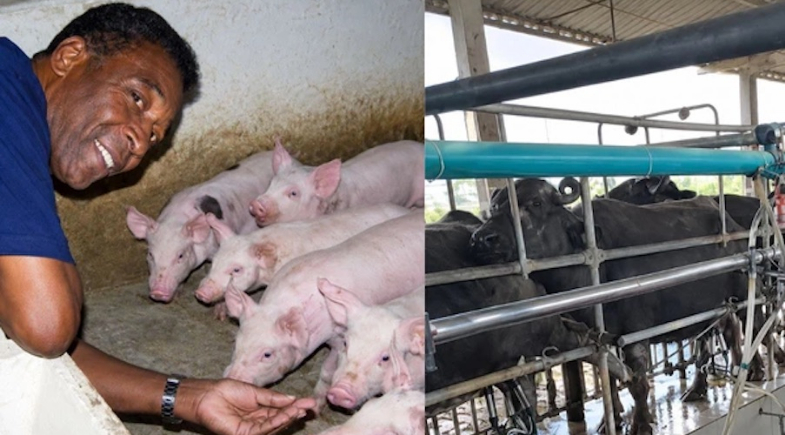 Pelé teve fazenda gigantesca com três casas, piscinas e até criação de peixes; fotos!