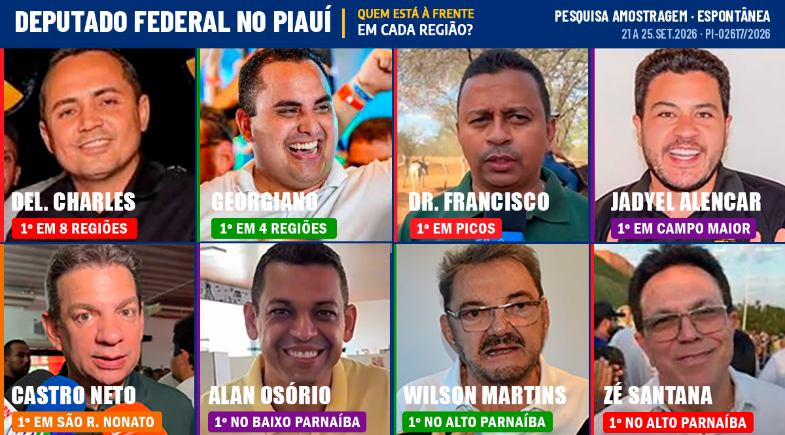 Del. Charles, Georgiano, Wilson Martins, Zé Santana, Castro Neto, Dr. Francisco, Jadyel e Alan Osório lideram pesquisa Amostragem em microrregiões do Piauí | Montagem / Meio Norte