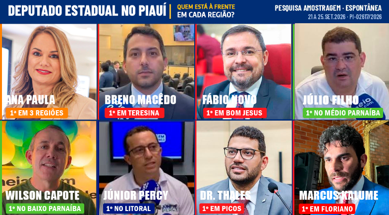 Ana Paula, Breno Macêdo, Fábio Novo, Júlio Filho, Wilson Capote, Júnior Percy, Dr, Thales e Marcus Kalume entre os que lideram regiões pesquisas no Piauí | Montagem / Meio Norte